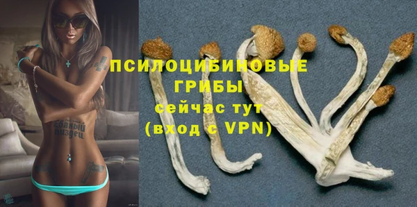 тгк Алзамай