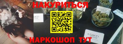 шишки Новокубанск