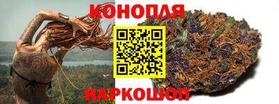 дмт Новодвинск
