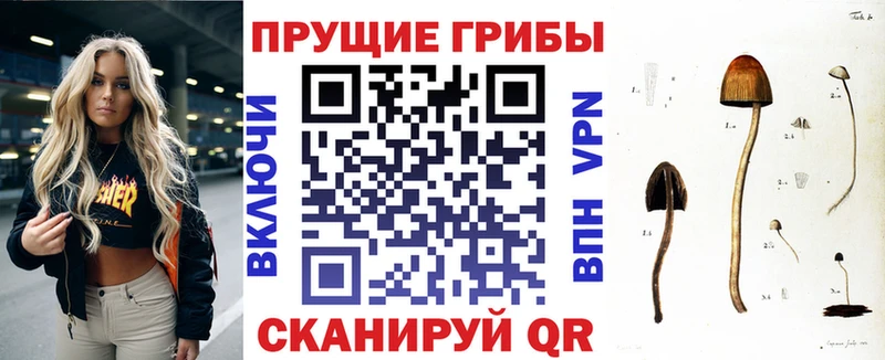 купить наркотики цена  Орск  Галлюциногенные грибы прущие грибы 