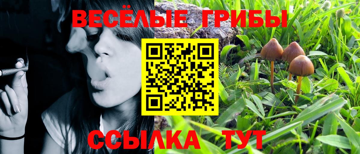 Галлюциногенные грибы прущие грибы  Галлюциногенные грибы прущие грибы  Орск  где найти   Вход с VPN 